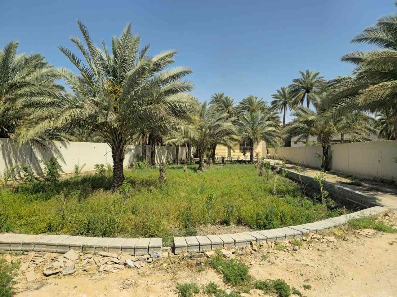 اعلان رقم 2499
المساحه 1،150متر + دار بسيط   #للبيع
يحتوي على كراج واسع ومساحه واسعه مزروعه
تحتوي الارض على نخيل واشجار 
نوع العقار طابو سند ٢٥ 
العنوان في كربلاء خلف جامعة الزهراء "ع"
عن التبليط الفرعي تقريبا ٥٠٠متر
عن مركز مدينة كربلاء ما يقارب سته كيلو
محتويات الدار غرفة منام وصاله ومطبخ وصحيات 
التفاصيل موضحه عن الارض في الصور
السعر قابل للتفاوض للجاد في الشراء! 
باقي التفاصيل زيارة المكتب 📍 
كربلاء طريق السيده زينب ع قرب عمود 131 
او الاتصال 📞
ابو علي ***********  -  ***********
