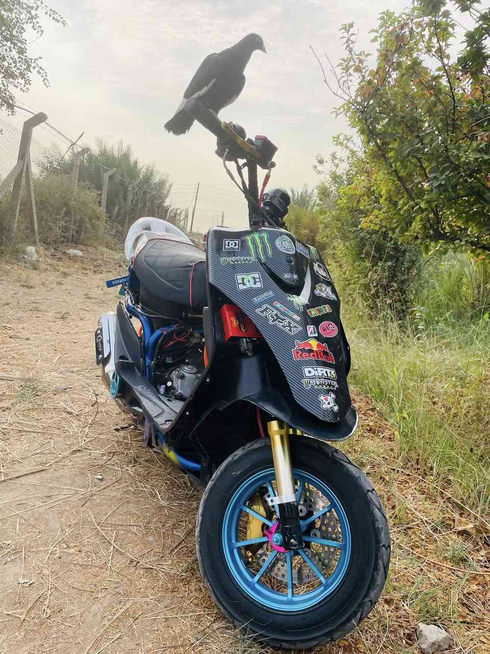 سلام عليكم ماكس مال لعب فول تزويددراجه متعوب عليه ومصروف عليه تزويده مكينه 55 سلف جبير 4فحمات كلجات WFصدر NCY فج 4صينيه وتطواله RGSبجم كاربون اصلي شاصي ازرك كشن رياضي قبق مروحه كاربون قبق كاربون الي فوك تاير قبق فلاوين RGSقاعده رقم تتمارك ويل مشيف صالنصه صجميه اصلي سبايدر اربعه قطره دهن يدات WFصونده دهن تعلاكه RGS ضفيره اصليه وبعد هواي نوعم حتى صره مال دهن WFالي تفيده خاص او وتساب *********** كلش مستعجل ع بيعته مكاني نهاوند
