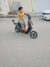 دراجة شحن • شحنه يومين • حجم ١٤