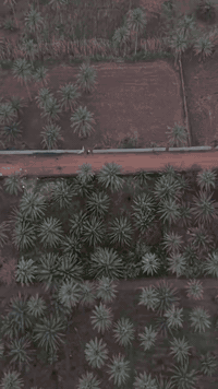 أرض زراعية • ٥٠٠م • طريق الزوار