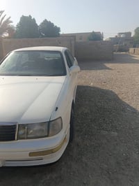 بطة منفصل • رقم نبار • واتساب