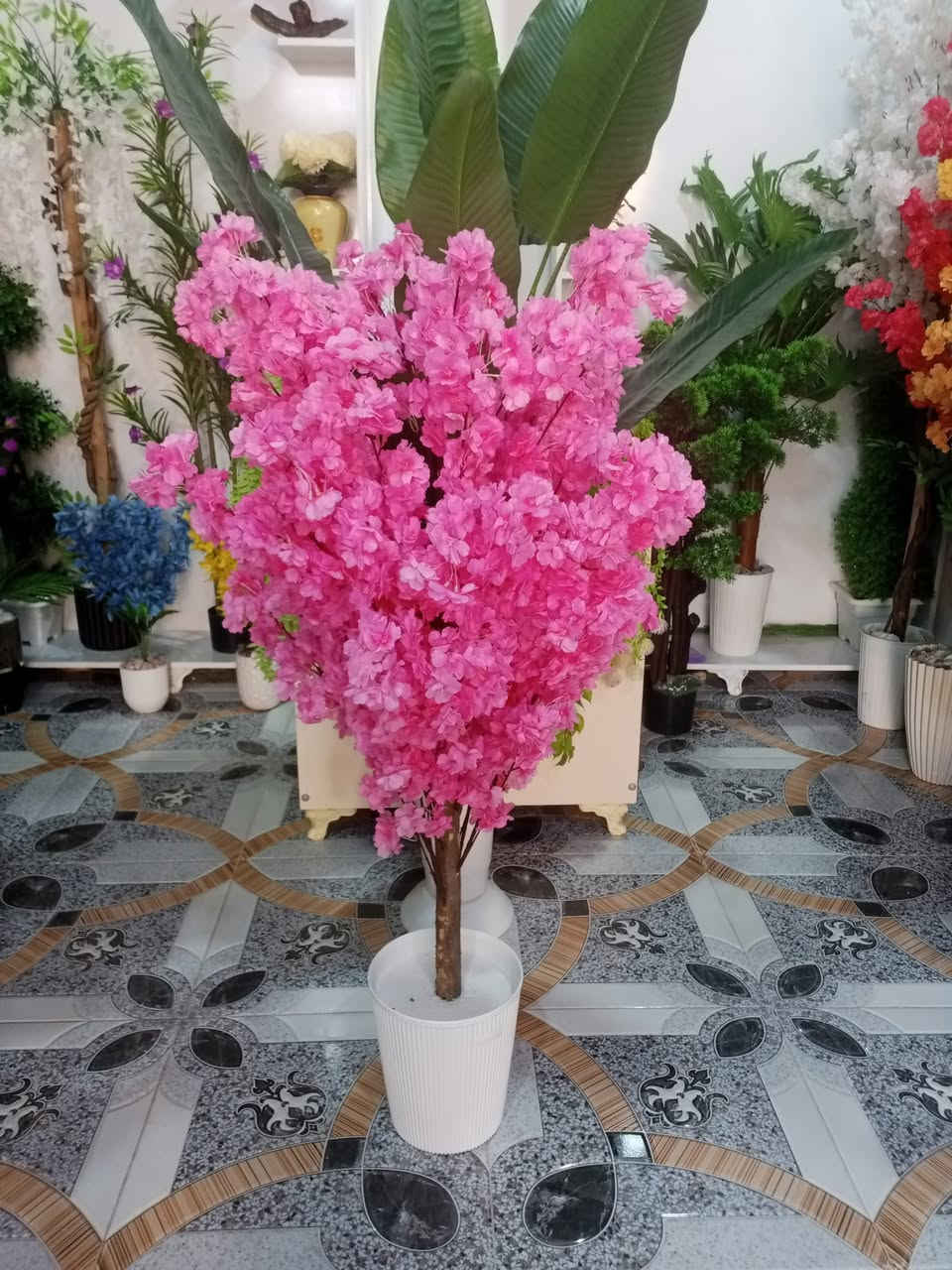 اشجار ورد ♥️🌸❤️

متجر #سعفة

موقعنا شارع حي الجمعية الاولى خلف المركز الصحي

متواجدين يوميا من الساعة 3 عصرا حتى الساعة 11 ليلا

#الانبار #هيت


**إذا كنت صاحب هذا الإعلان وتريد حذفه لأي سبب، رجاءا أرسل رسالة إلى الدعم الفني**