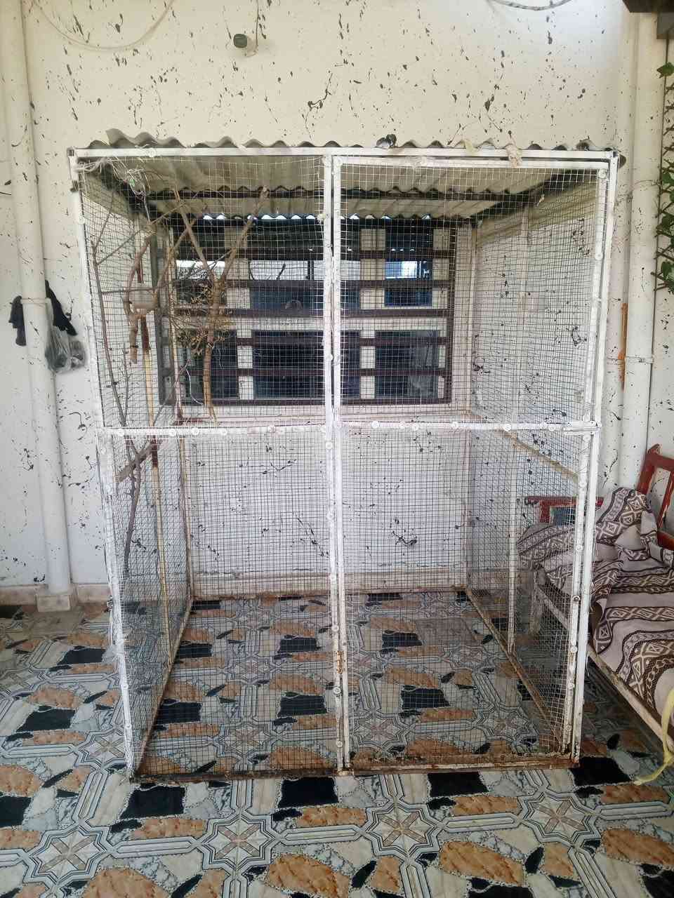 سلام عليكم قفص لبيع كدام العين سعره 65وبي مجال اوتحياتي الكروب


**إذا كنت صاحب هذا الإعلان وتريد حذفه لأي سبب، رجاءا أرسل رسالة إلى الدعم الفني**