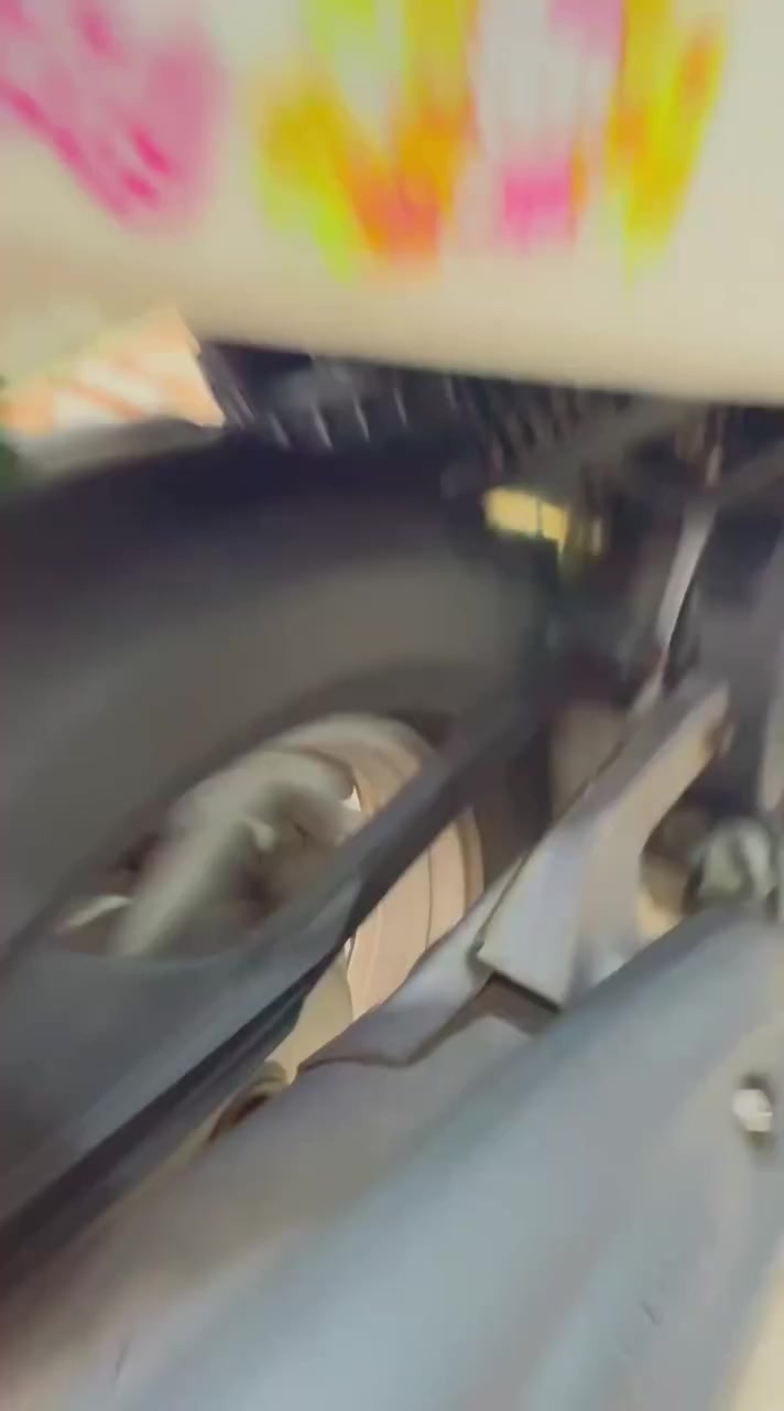 فله كفاله عامه البيع او امراوس حسب القناعه ***********
