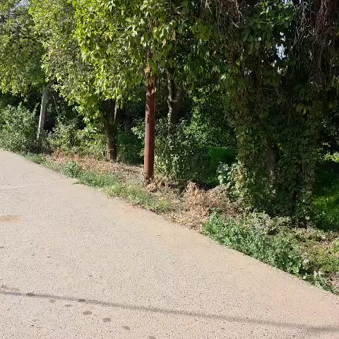 السلام عليكم متابعينا الكرام تحية طيبة.. 🤝🌺

للبيع ارض زراعيه جميله جدا وموقع مميز
طابو صرف مساحتها 1000م

الواجهه 14 نص ×  72 نص
قريبه ع الشارع الرئيسي جدا

العنوان بغداد شاطئ التاجي قرب
 جامع القرآن الكريم مزرفه وحصيوه

للاستفسار الاتصال على الارقام الاتيه
📞📞:اخوكم أحمد أبو مصطفى 
 واتساب 
كورك: ***********
اسيا: ***********

مكتب ديرتنا للعقار 🏢
واهلا وسهلا بالجميع 🤝
