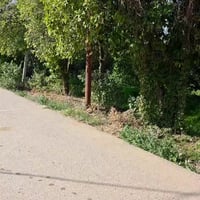 متابعينا الكرام تحية طيبة.. 🤝🌺  للبيع ارض زراعيه جميله جدا وموقع مميز ...