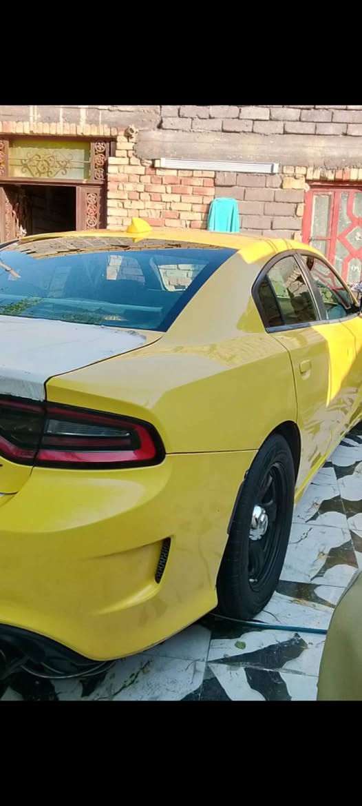 تفاصيل داخل الصور


**إذا كنت صاحب هذا الإعلان وتريد حذفه لأي سبب، رجاءا أرسل رسالة إلى الدعم الفني**