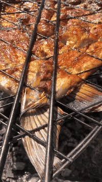 (الجمعة يوم الراحة ،،)ريح بالك من المطبخ وخلي الغدة علينة ☘️🏠🐟🐥🔥
إذا كنت من عشاق المشوي 🔥🐥🐟🔥مكانك اهنا سمك ودجاج مشوي بخلطة  تفتح النفس 

احجز من هسة وتوصلك بلوقت ⏰الي تريدة 

***********👍
