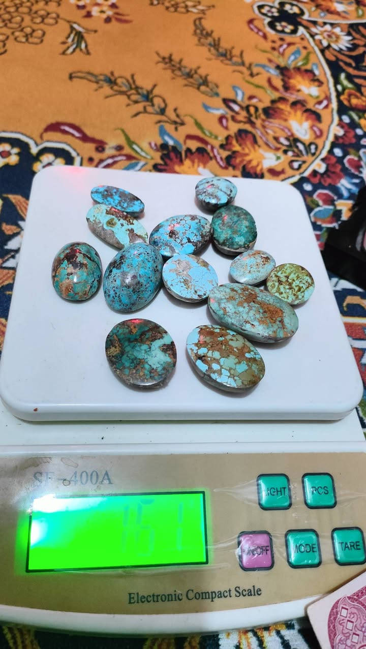 نيشابوري 164 غرام اعلى سعر ابيع شلعة وحده مكاني كوت ***********
