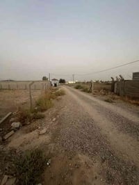 منتجع • ١٢٥٠م • صلاح الدين بلد