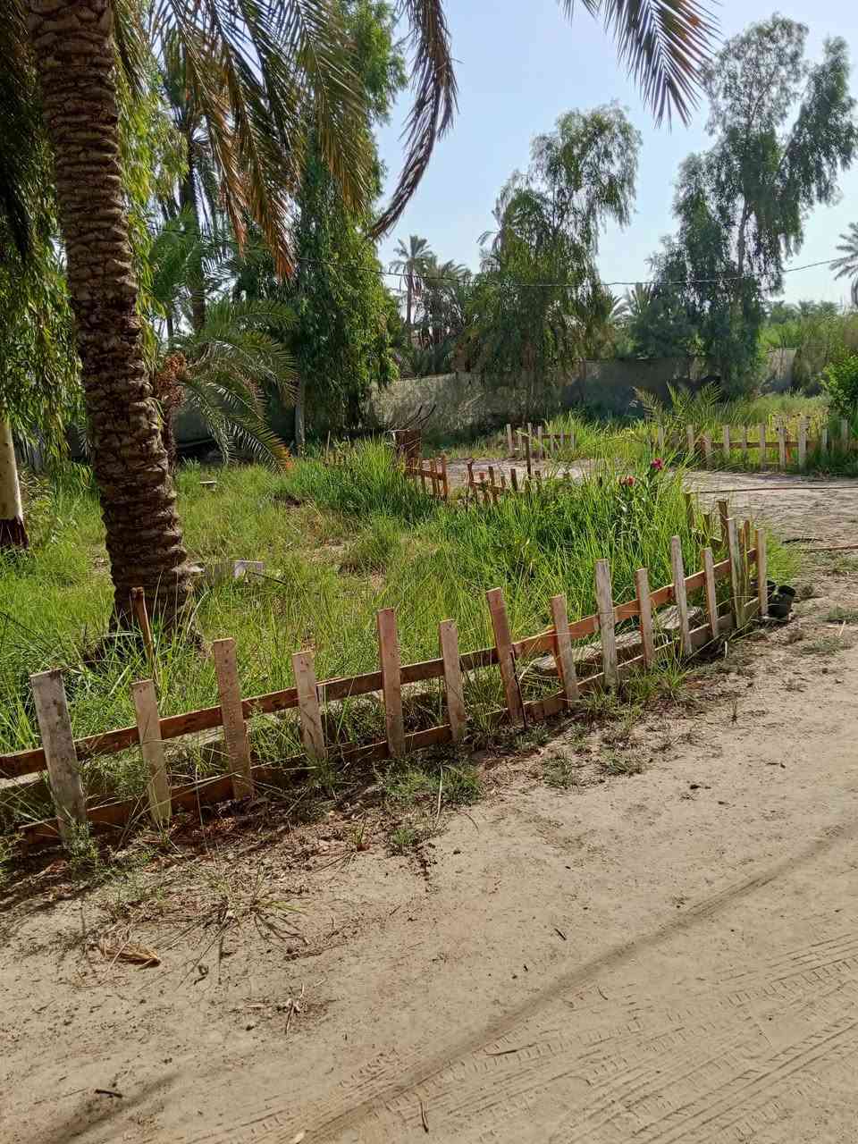 ياالله دونمين ونص زراعي مع بيت كامل ارض مسيجه بالكامل كافة الخدمات كهرباء ماء تبليط منطقه متكامله نظام تقطير مكان الفضليه ال وشاح مقابيل مدرسه الشريف الرضي يبعد عن الشارع العام كيلوين سعر وباقي تفاصيل اتصل او راسل ***********
