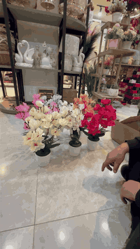 اهلا بكم 
جمله فقط فقط 
***********

https://t.me/HShassan1986

🔥👆🏻🔥👆🏻🔥👆🏻🔥👆🏻
