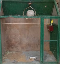 قفص خشبي كبير • زوج طيور حب