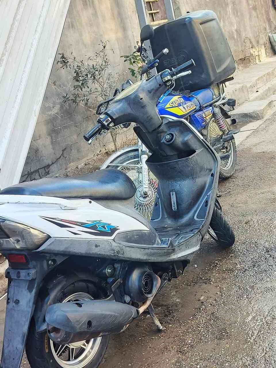 سلام عليكم ماكس عدلة للبيع دراجة حلوة ومرتبة ما بيهة نقص سعر 650 
بغداد البلديات
***********
