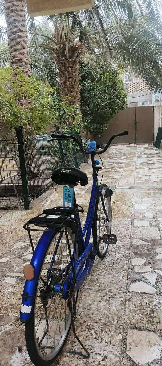 سلام عليكم شباب بايسكل لبيع أو مراوس بايسكل لو موبايل زين مديل 19 نضيف البايسكل شوفت عينك المو شراي يعبر المنشور رجاءا


**إذا كنت صاحب هذا الإعلان وتريد حذفه لأي سبب، رجاءا أرسل رسالة إلى الدعم الفني**