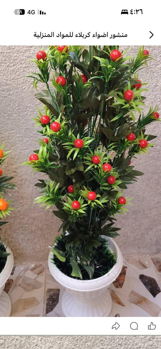 أشجار وسنادين ورد بأشكال جميله وقياسات مختلفه جمله ومفرد للطلب راسل البيج او الاتصال ب الرقم *********** واتساب نفس الرقم
