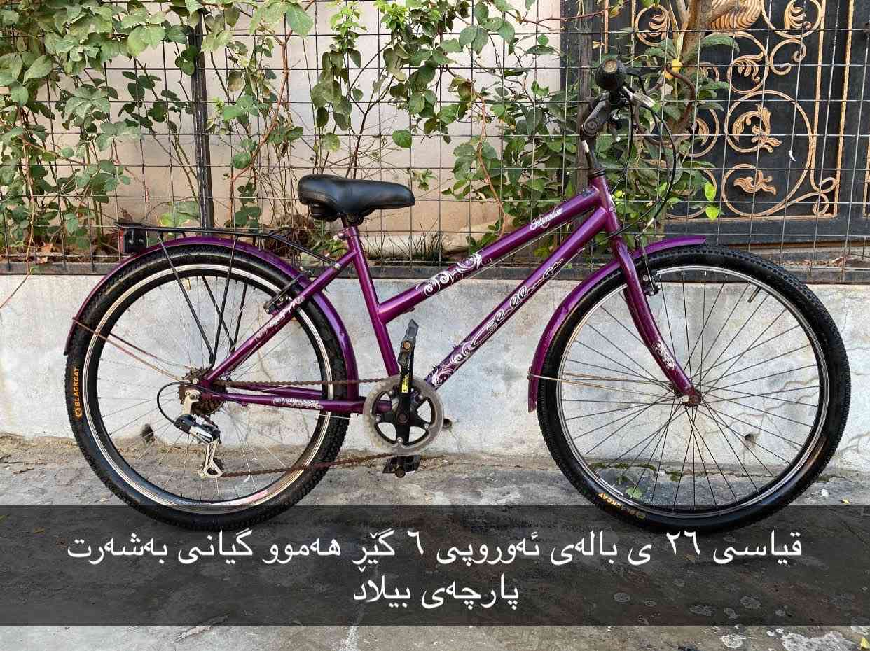 ئەم ٥ پاسکیلە بۆ فرۆشتن زۆر زۆر تازەو جوانن بەشەرتی بێ عەیبی ئەیان فرۆشم قیاسیان ۱۲ ی ۱٦ ی ۲٠ ی ۲٦ ی 
سلێمانی بەکرەجۆ
***********
