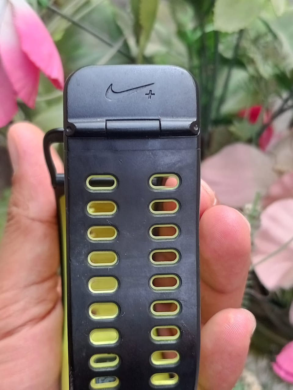 ساعة نايك اصلي شحن مواصفات عديدة سعر 65


**إذا كنت صاحب هذا الإعلان وتريد حذفه لأي سبب، رجاءا أرسل رسالة إلى الدعم الفني**