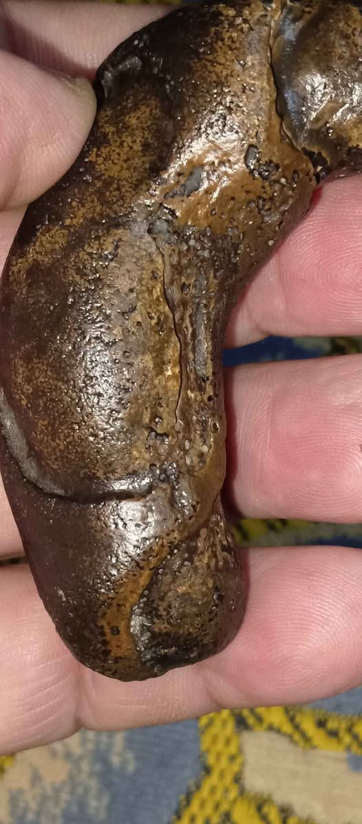 ‎حجر سلطاني‎ البصرة, العراق


**إذا كنت صاحب هذا الإعلان وتريد حذفه لأي سبب، رجاءا أرسل رسالة إلى الدعم الفني**