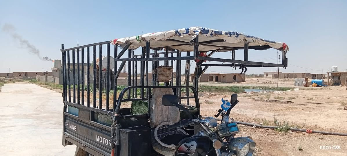 السلام عليكم جنج  مال حمل للبيع مكان كركون ناحيه يايجي السعر 60 الف وبي مجال ***********
