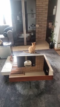 طاولة • جميلة • ورقي