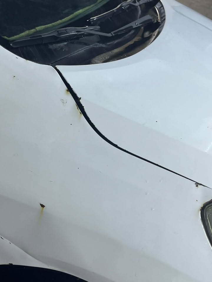 نيسان صني هندي موديل 2019 بيها ضربات موضح بالصوره حادثها بنيد
للاستفسار ***********
