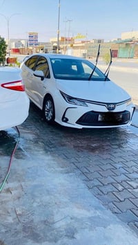 كورلا • وارد صيني • ٢٠٢٤