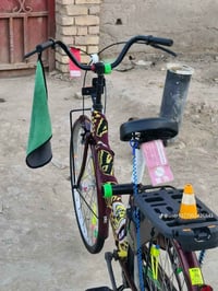 باسكل • الشطر