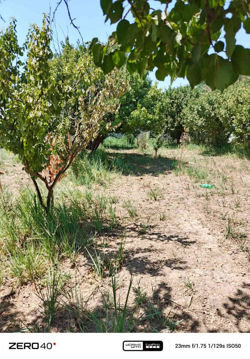 السلام عليكم  الف متر للبيع  السعر 55 وبيها مجال العنوان بغدادالراشديه  الاتصال على الرقم ***********
