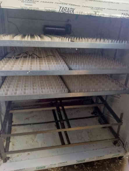 يوجد لدينا مفقس اللبيع اسعر خاص ااوواتساب 7851821675
