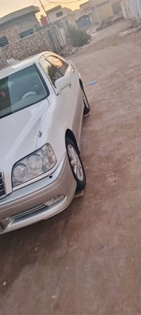 جنوط نجمة • ابيض • بنفطي