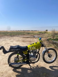 رابيدو • ٢٠٢٥ • نشاط فول