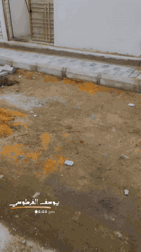 الكرادة • غرفة واحدة • للإيجار