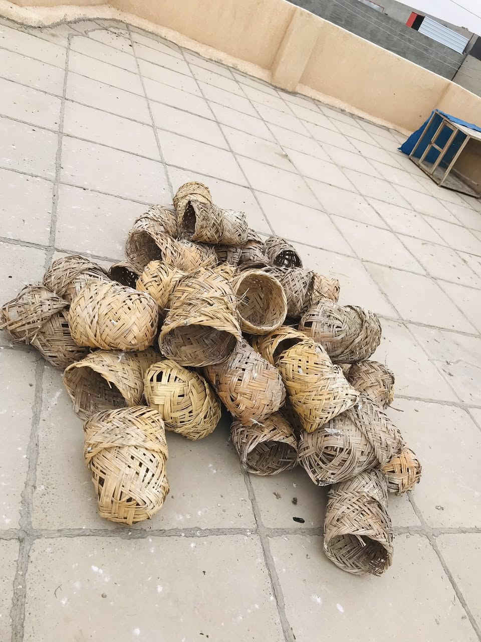 السلام عليكم عندي حلات لبيع سعر 25 كلها مكاني تكريت حي الجمعيه دزلي طلب وافق علك ورسلني وتدل


**إذا كنت صاحب هذا الإعلان وتريد حذفه لأي سبب، رجاءا أرسل رسالة إلى الدعم الفني**