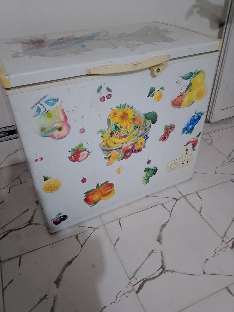 مجمده شغاله شرط حيل نظيفه يرهم مراوس بعاطل والعنده هم نشتري ‏‪***********‬‏ كركوك, العراق
