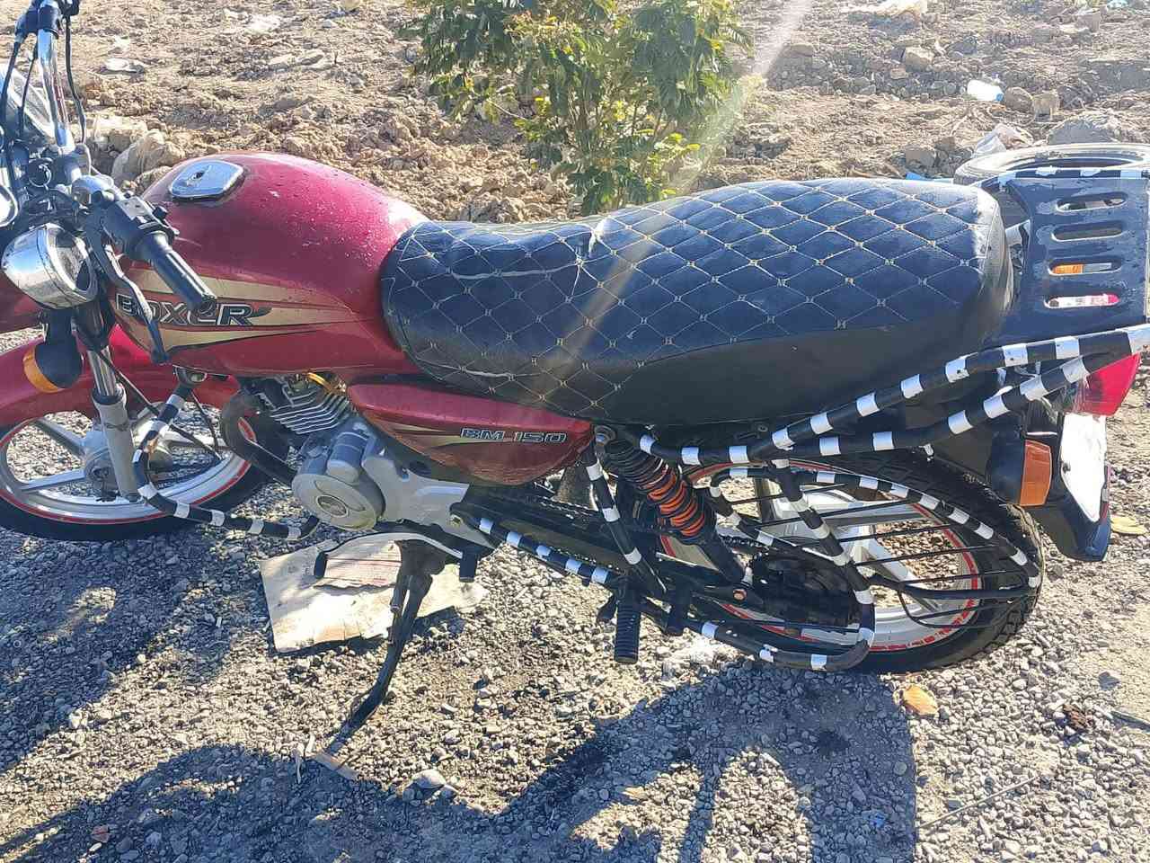 للبيع بوكسر 18اصولي سعر575 الخالص_هبهب ***********
