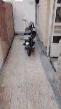 السلام عليكم دراجه سيفان موديل 21 ماكيناتها مقفوله دراجه شوفه عينك متروكه فقط حاليا الزنجيل مقطوع بس الدراجه اوراقها اوراق ها مشمورات بالزباله اقفل لك اياها من كل شيء تريد مكاتبه انا بخدمتك تيارات جدد شو ابليس ما كان بغداد الامين الثانيه السعر 400 ابيها مجال.                     ***********
