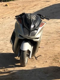 ماجسته • شغاله • حله