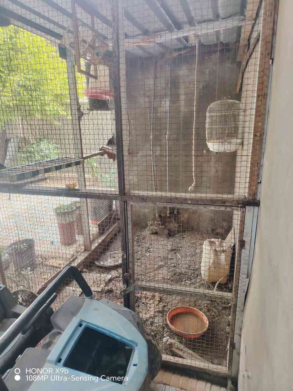 السلام عليكم ورحمة الله وبركاته
وكل عام وانتم بخير وصحه
هذا القفص للبيع نضيف جدا ارتفاعه ٣ متر وعرضه ٢ ونصف في ثنين تقريبا مكانه الحمزه الغربي عليه السلام *********** واتساب سعره ١٠٠ ألف وبيه مجال
