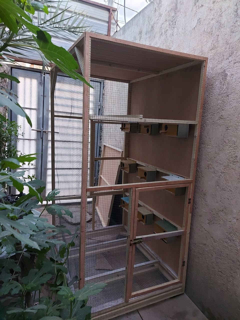 قفص كناري السعر ( 100الف وبي مجال)  
الوجه 120cm 
النزال 95cm 
الرتفاع 200cm  ( ٢ متر ) 
جرارة تنضيف


**إذا كنت صاحب هذا الإعلان وتريد حذفه لأي سبب، رجاءا أرسل رسالة إلى الدعم الفني**