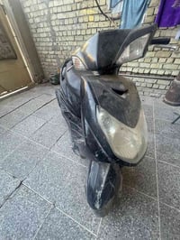 للبيع سكنس فحل  كوم حديد  ابيعلك طافي اكفله اللك من بوكه تجي تأخذها من...