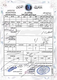 النجف الخضراء • ٣٠٠م • طابو صرف