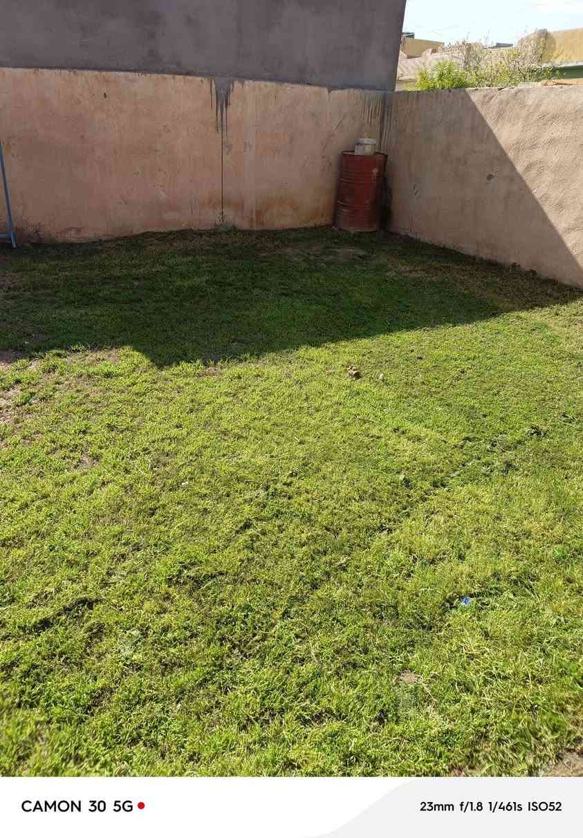 السلام عليكم اشتغل جميع الحدائق والبساتين  وتنظيف الحدائق من الدغل وتقليم الأشجار وزرع الشتل وقص الحدائق بل مكينه عل نمره وحدة وقص الأشجار الكبار  كادر متميز وسريع إتصل رقم الهاتف***********
