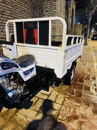 ستوته دايون • مديل ١٩ • اوراق اصولي