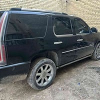 دنالي • ٢٠٠٩ • كربلاء