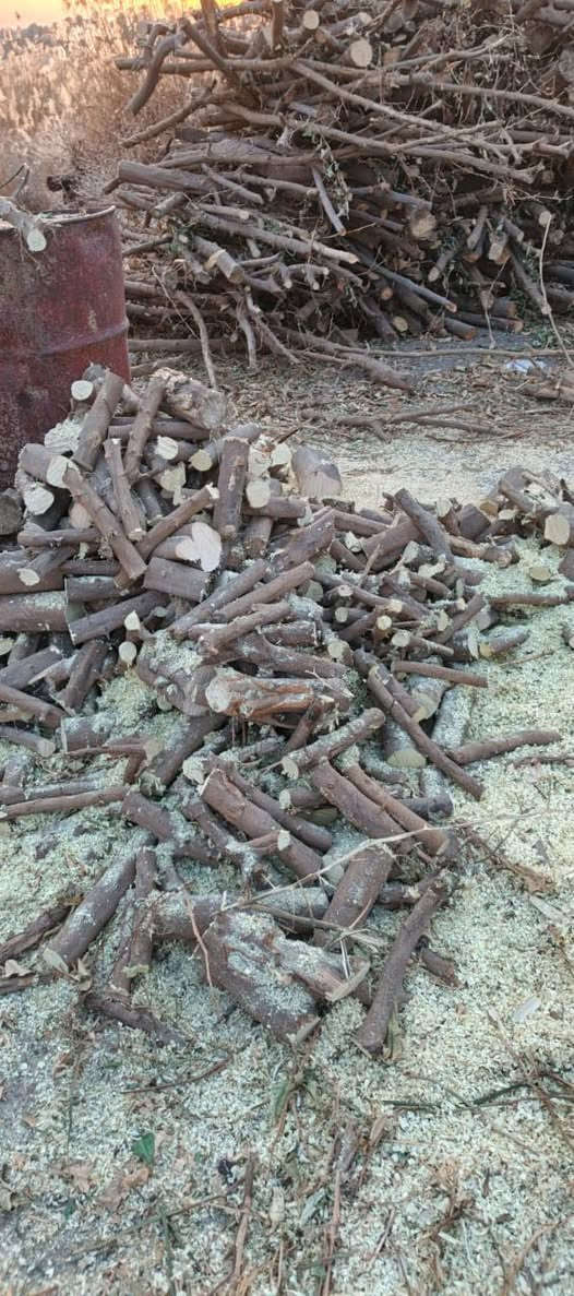 حطب مكانه هيت الانبار 
يوجد توصيل 
الشراي يعلق تم يصلك سعرهن 
رقم صاحبهن ***********
