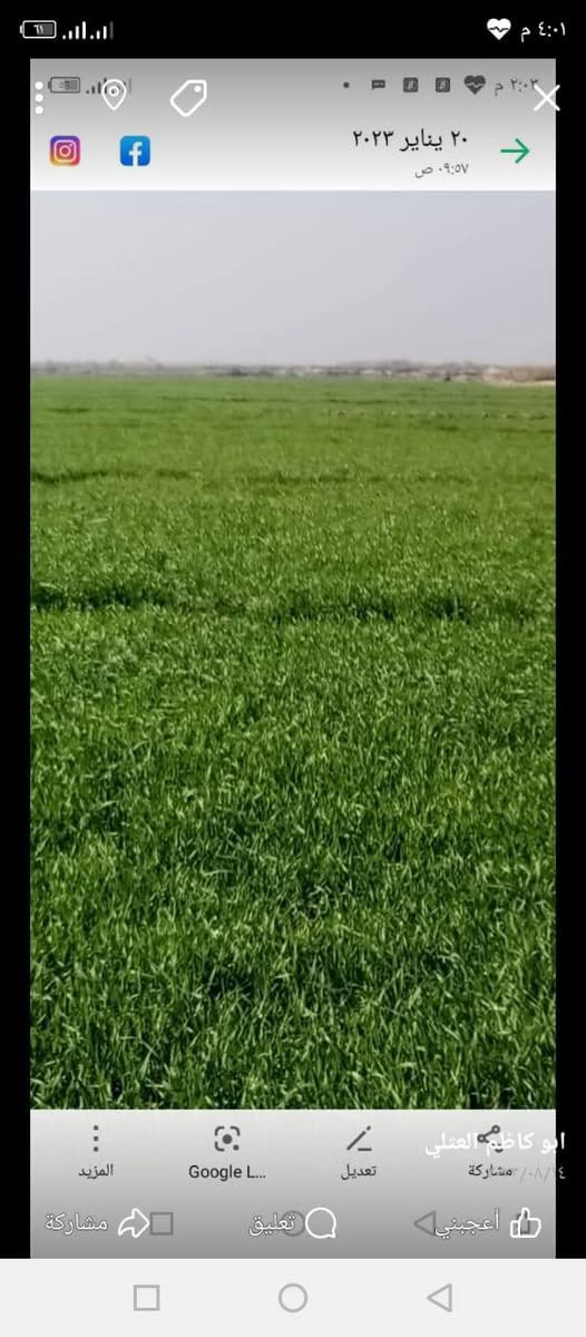 سلام عليكم أرض زراعية للبيع مساحه 40 دونم ماء متوفر +كهربأ+محوله+تبليط براسها +ملف كهربائي+المكان ناصرية الرفاعي على طريق سيد أحمد الاستفسار اتصل علا (***********)
