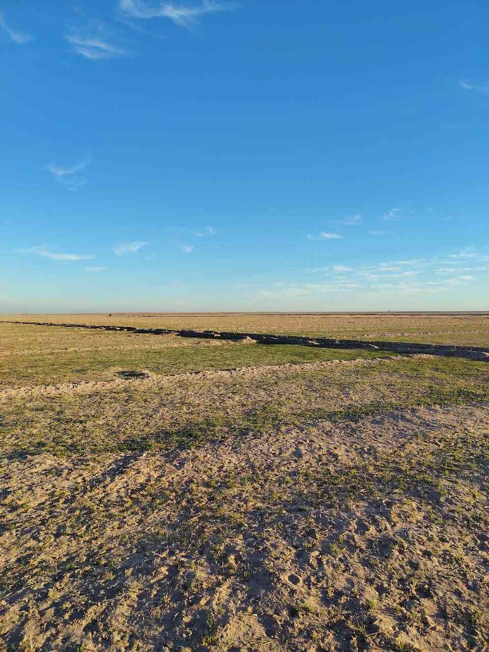 السلام عليكم كاع للبيع 233 دونم بيه بير العام مزروعه والسنه مخضره جاث عل مطر بلكصير ***********
