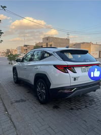 فول مواصفات • رقم أربيل • ١٨٠٠٠