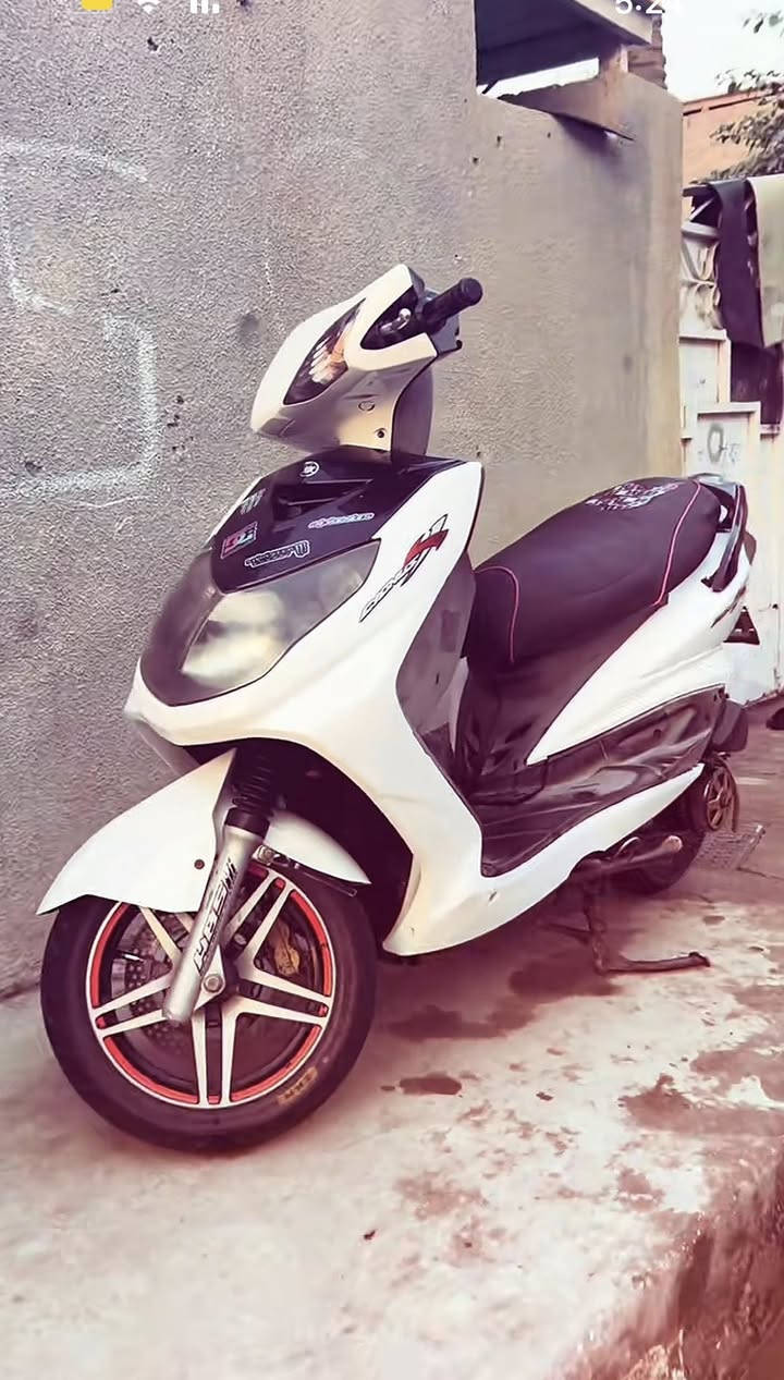 سكسن فحل نوزل البيع او مراوس درجه اي نقص ما بيههه بغداد زعفرانيه ***********
